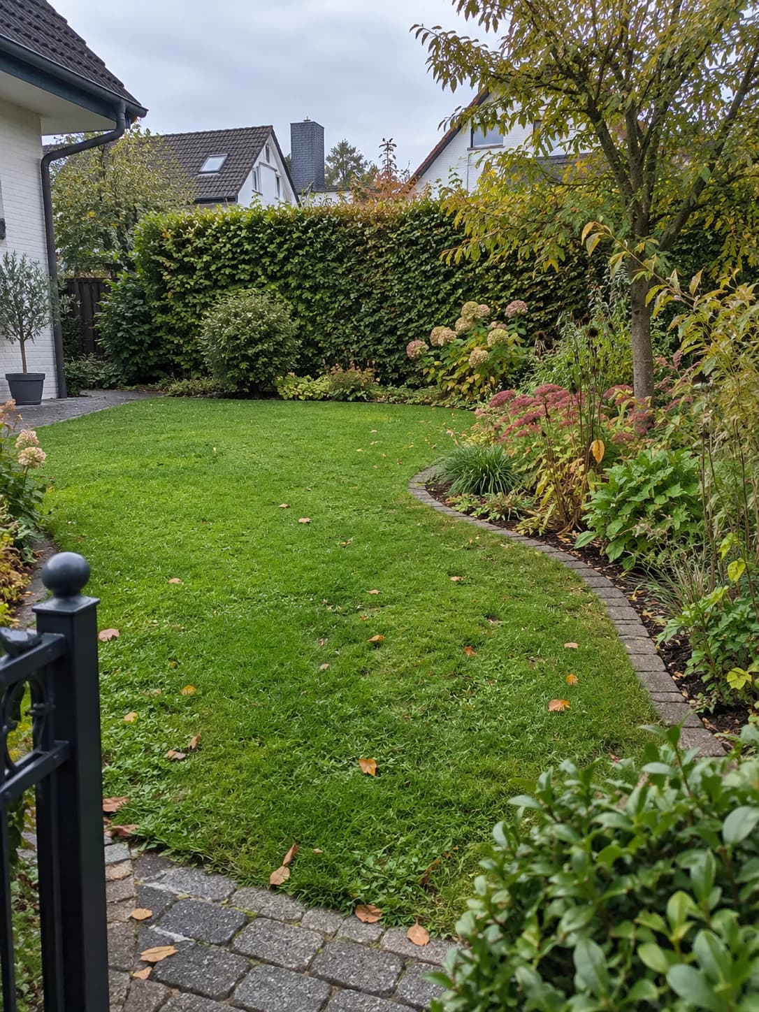 Gepflegter Stadtgarten mit Rasen und Staudenbeeten