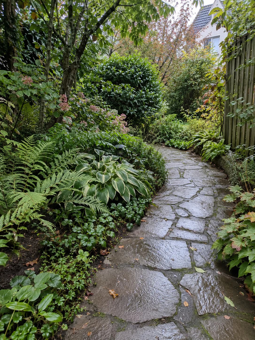 Natursteinweg durch einen eingewachsenen Garten